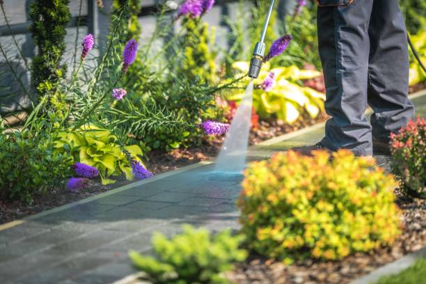 Best Pool Deck Cleaning  in Plainwell, MI