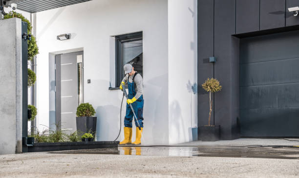 Best Sidewalk and Walkway Cleaning  in Plainwell, MI